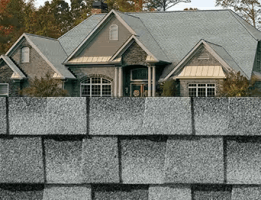 Roofing Installers